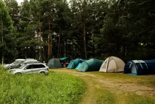 Кемпинг "Сосновый берег" — Республика Алтай: фото объекта размещения