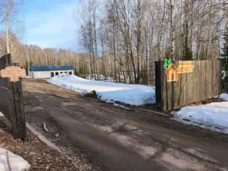 База отдыха "Шелест" — Березники: фото объекта размещения