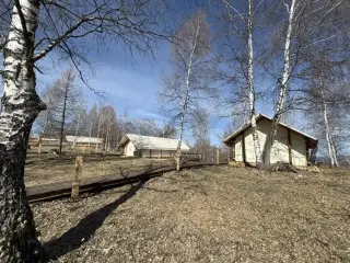 База отдыха "Глэмпинг Тогул" — Республика Алтай: фото объекта размещения