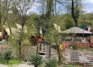 ЮЖНЫЙ ВАЙБ ДРЕВО — Сочи: фото объекта размещения