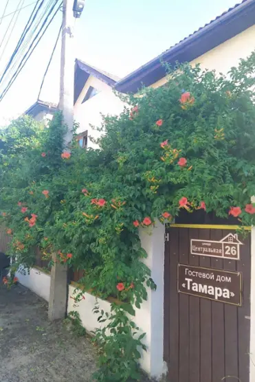 Тамара — Краснодарский край: фото объекта размещения