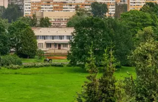 Южный парк отель — Санкт-Петербург: фото объекта размещения