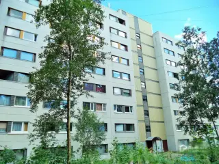 Хостел "Хаски" — Костомукша: фото объекта размещения