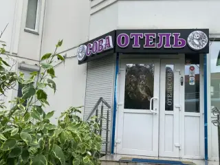 «СОВА на Планерной» — Москва: фото объекта размещения