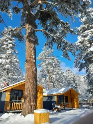 Solu Chalet — Карачаево-Черкесская Республика: фото объекта размещения