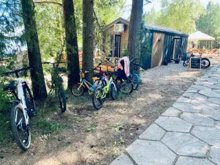 кемпинг "Велино" — Псковская область: фото объекта размещения