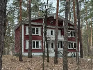 База отдыха "Лесная" — Тамбовская область: фото объекта размещения
