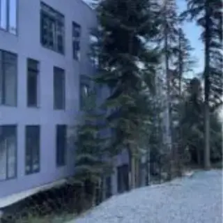 Sky Forest — Карачаево-Черкесская Республика: фото объекта размещения