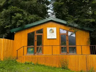 Алиса — Карачаево-Черкесская Республика: фото объекта размещения