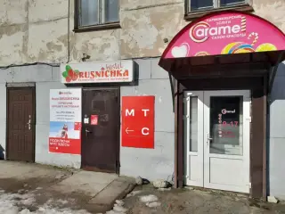«Брусничка» — Олонец: фото объекта размещения