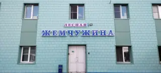 Лесная Жемчужина — Челябинская область: фото объекта размещения