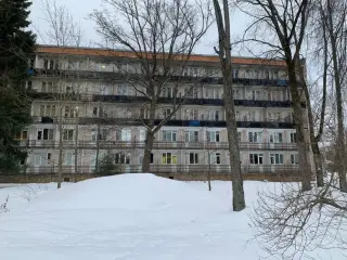Хостел «Репино, Луговая, 8» — Санкт-Петербург: фото объекта размещения