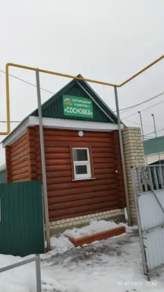 Загородный комплекс "Сосновка" — Пензенская область: фото объекта размещения