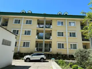 ПАРК-ОТЕЛЬ «PORTO MARE» (КОРПУС «PET FRIENDLY») — Алушта: фото объекта размещения