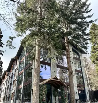 Таш Марал — Карачаево-Черкесская Республика: фото объекта размещения