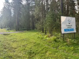 База отдыха  "Семинская поляна" ООО АЛТАЙБИЗНЕС — Республика Алтай: фото объекта размещения