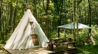 Лесной кемпинг Forest camping — Приморский край: фото объекта размещения