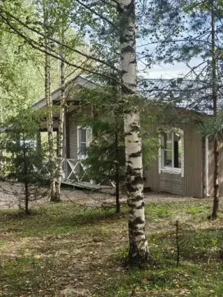 Дом фермера "Хуторская лужайка" — Новгородская область: фото объекта размещения