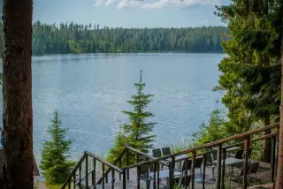 База отдыха «Берендеево царство» — Новгородская область: фото объекта размещения