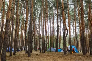 Кемпинг / Глэмпинг Красные Кусты — Белгородская область: фото объекта размещения
