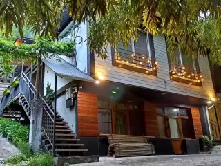 Гостевой дом "Бамбуковая роща" — Сочи: фото объекта размещения