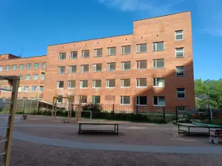 Общество с ограниченной ответственностью ЗЕЛЕНАЯ МИЛЯ — Сосновый Бор: фото объекта размещения