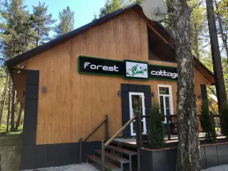 Forest Cottage (Форест Коттедж) — Карачаево-Черкесская Республика: фото объекта размещения
