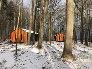 Глэмпинг "Панорама" — Светлогорск: фото объекта размещения