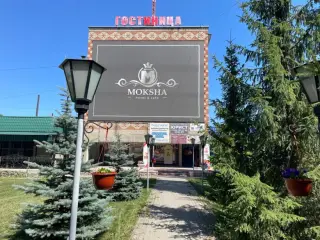 Гостиница "Мокша" — Ковылкино: фото объекта размещения