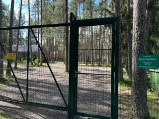 Глэмпинг БорБелек — Псковская область: фото объекта размещения