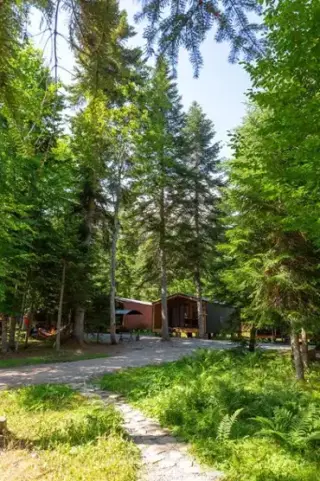 База отдыха Forest House Resort — Карачаево-Черкесская Республика: фото объекта размещения