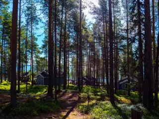 Туристический комплекс "ВелТ" ООО " ВелТ-Карельские путешествия" — Республика Карелия: фото объекта размещения