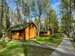 Берлога — Республика Карелия: фото объекта размещения