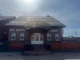 Ак Барс — Казань: фото объекта размещения