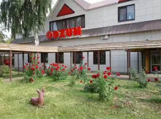 Odzun — Мензелинск: фото объекта размещения