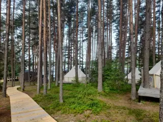 Глэмпинг "Середея Парк" — Новгородская область: фото объекта размещения