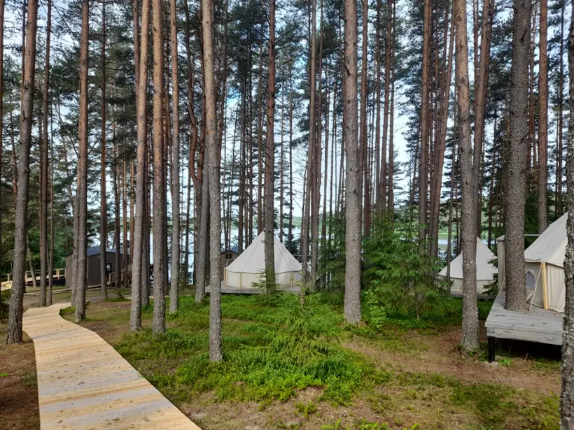 Глэмпинг Середея Парк — Новгородская область: фото объекта размещения