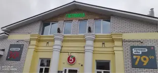 Два Льва — Дзержинск: фото объекта размещения