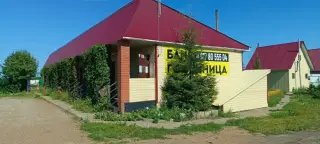 Спортивно-оздоровительный комплекс "Курай" ИП Мингазова Альбина Гавизовна — Дюртюли: фото объекта размещения