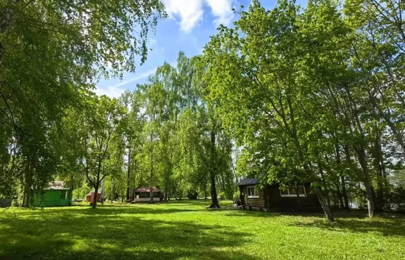 Турбаза в Петровке Зеленая роща — Липецкая область: фото объекта размещения