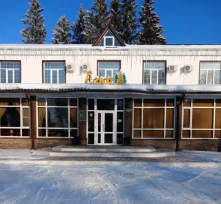 гостиница "Елки" — Тамбовская область: фото объекта размещения