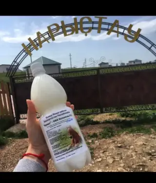 Туристская база "Нарыстау" ООО "Нарыстау" — Республика Башкортостан: фото объекта размещения
