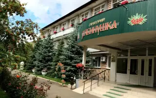Общество с ограниченной ответственностью "Санаторий "Рябинушка" — Оренбургская область: фото объекта размещения