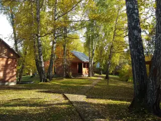 База отдыха "Летний сад" ООО "Каргон" — Алтайский край: фото объекта размещения