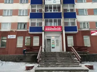 Муниципальное автономное учреждение «Токман» — Онега: фото объекта размещения