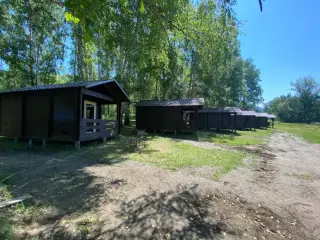 База отдыха "Лазурная" ООО "СЕЗАМ" — Республика Алтай: фото объекта размещения