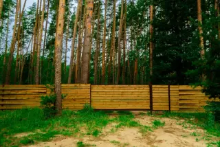 Лесная база "Папоротник" — Воронежская область: фото объекта размещения