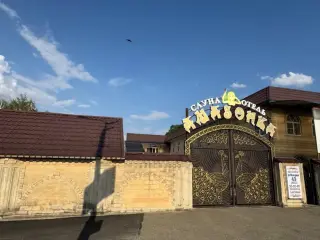 Отель "Амазонка" Индивидуальный предприниматель Мелкумян Норайр Гургенович — Ставрополь: фото объекта размещения