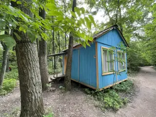 Городок отдыха «Зелёный берег» — Самарская область: фото объекта размещения