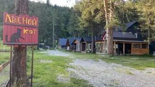База отдыха "Лесной Кот" — Карачаево-Черкесская Республика: фото объекта размещения